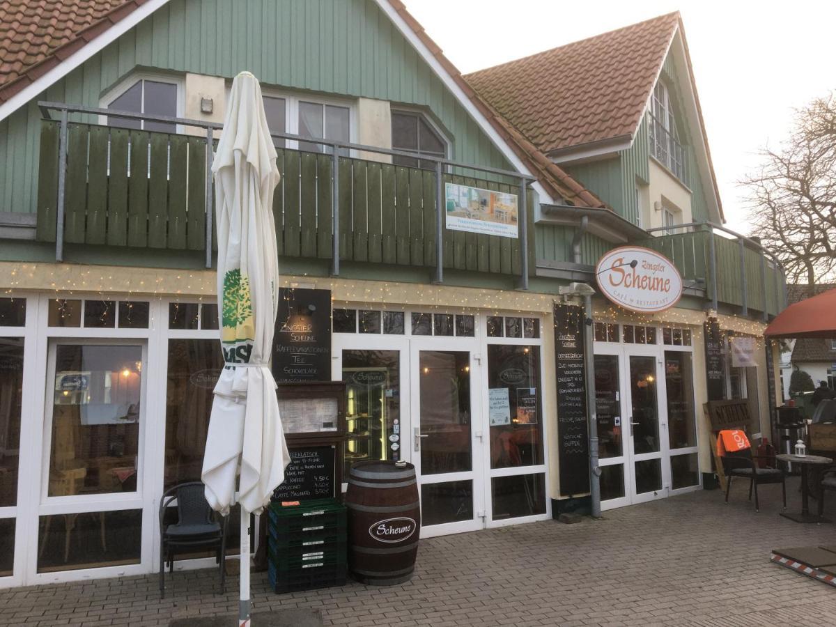 Doppelhaushaelfte Birkenstrasse 5E Villa Zingst Exteriör bild