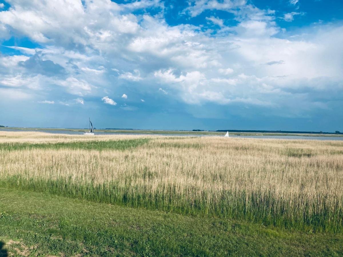 Doppelhaushaelfte Birkenstrasse 5E Villa Zingst Exteriör bild
